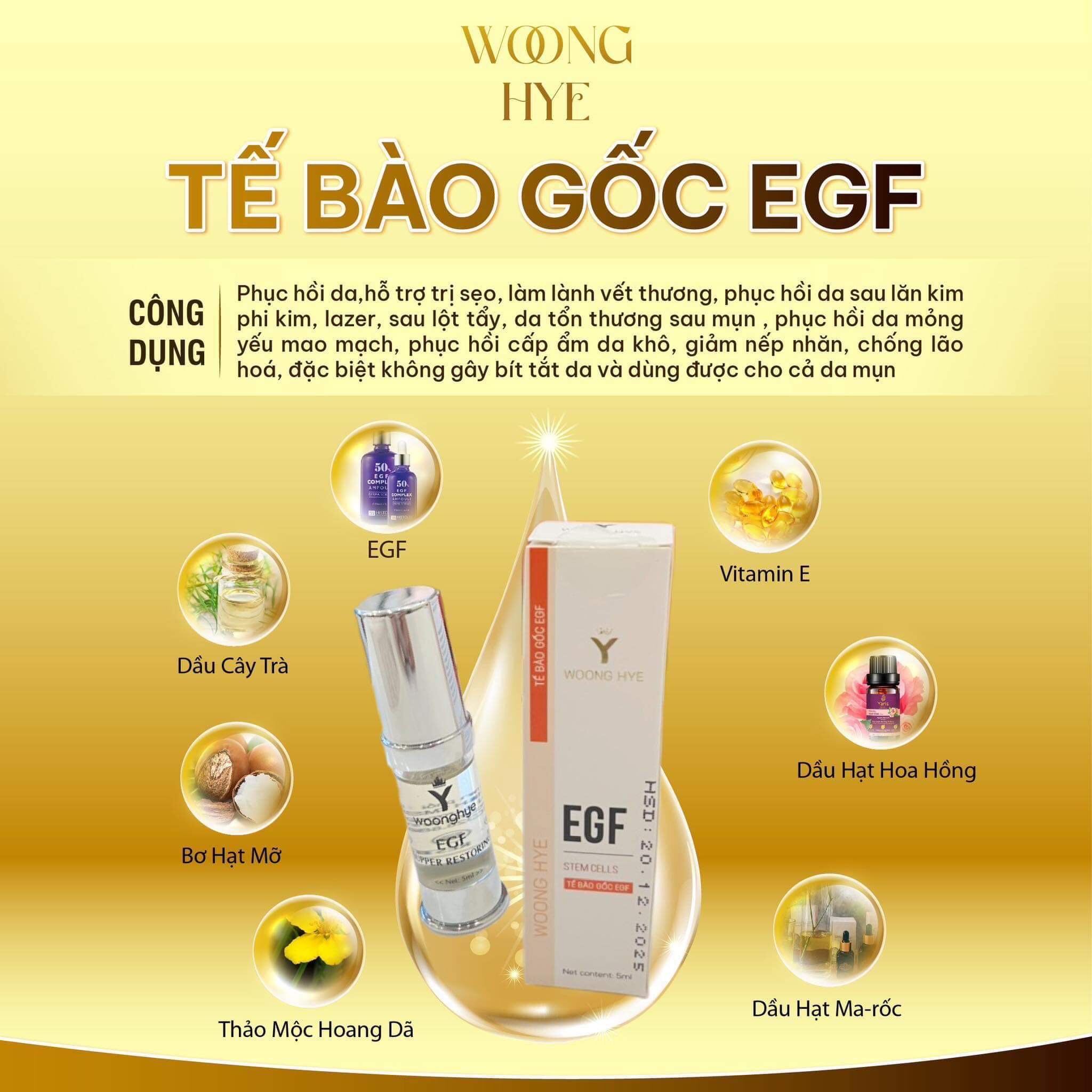 Tế bào gốc EGF